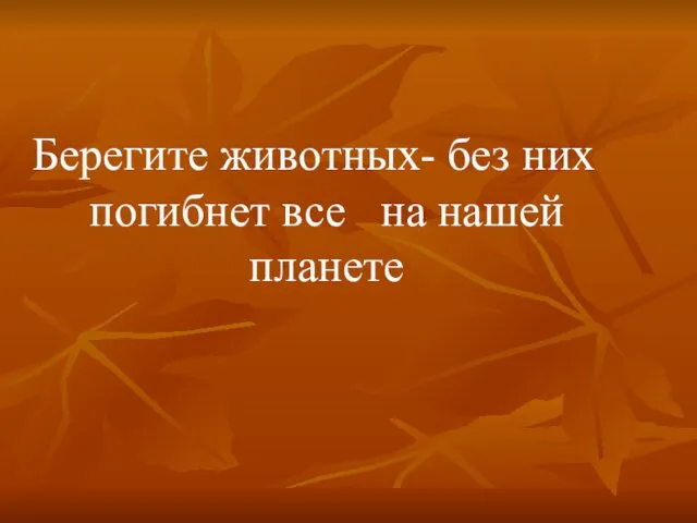 Берегите животных- без них погибнет все на нашей планете