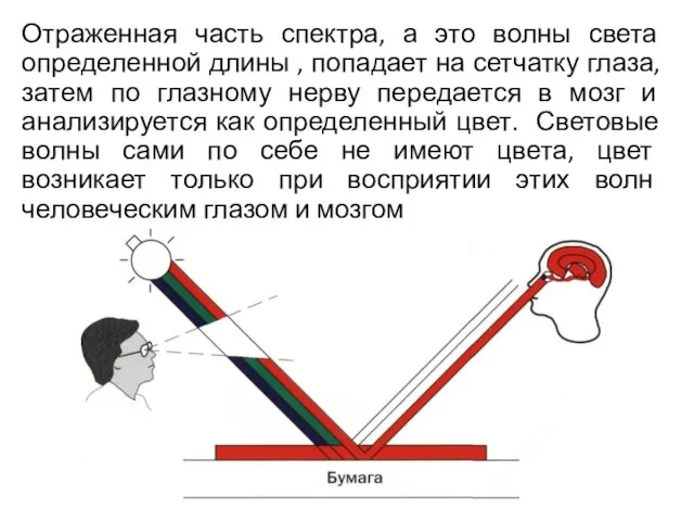 Отраженная часть спектра, а это волны света определенной длины , попадает