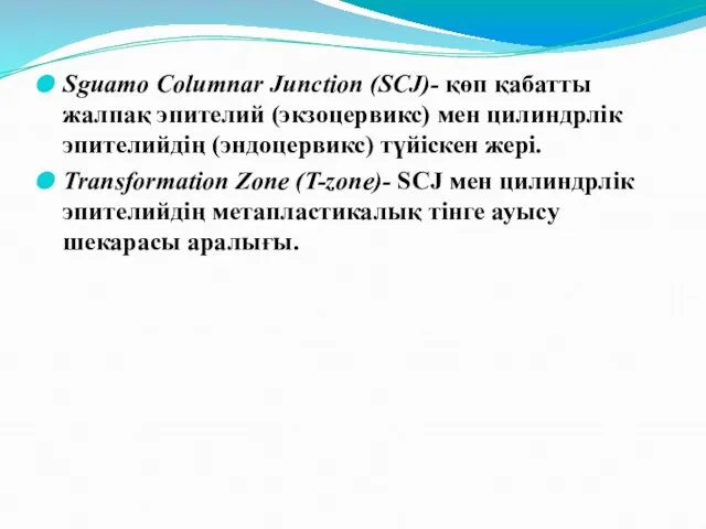 Sguamo Columnar Junction (SCJ)- қөп қабатты жалпақ эпителий (экзоцервикс) мен цилиндрлік