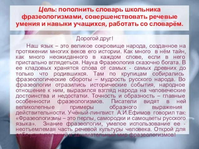 Цель: пополнить словарь школьника фразеологизмами, совершенствовать речевые умения и навыки учащихся,