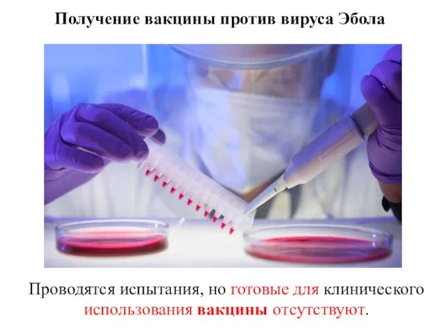 Получение вакцины против вируса Эбола Проводятся испытания, но готовые для клинического использования вакцины отсутствуют.