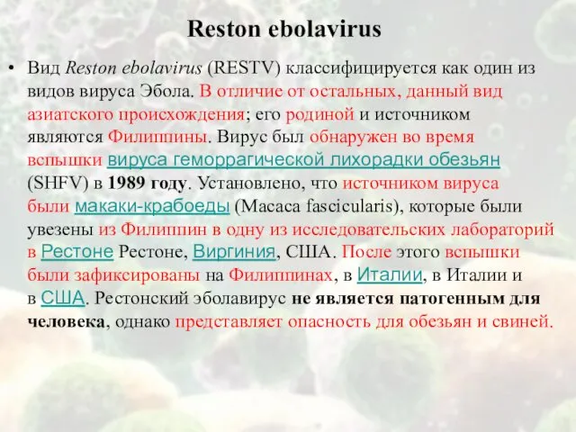 Reston ebolavirus Вид Reston ebolavirus (RESTV) классифицируется как один из видов