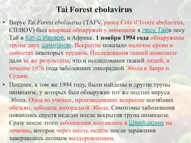 Tai Forest ebolavirus Вирус Tai Forest ebolavirus (TAFV, ранее Cоte d’Ivoire