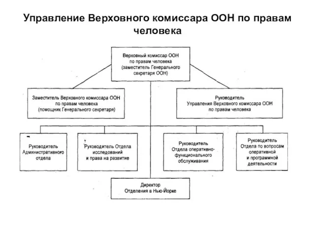 Управление Верховного комиссара ООН по правам человека