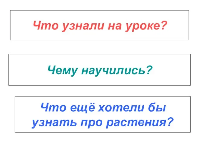 Чему научились? Что ещё хотели бы узнать про растения? Что узнали на уроке?