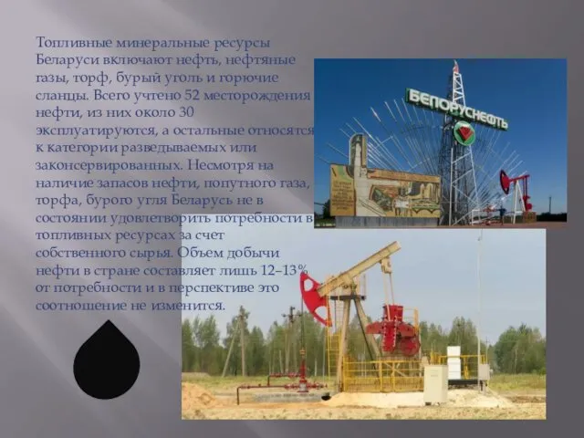 Топливные минеральные ресурсы Беларуси включают нефть, нефтяные газы, торф, бурый уголь