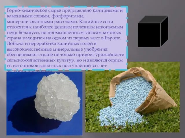 Горно-химическое сырье представлено калийными и каменными солями, фосфоритами, минерализованными рассолами. Калийные