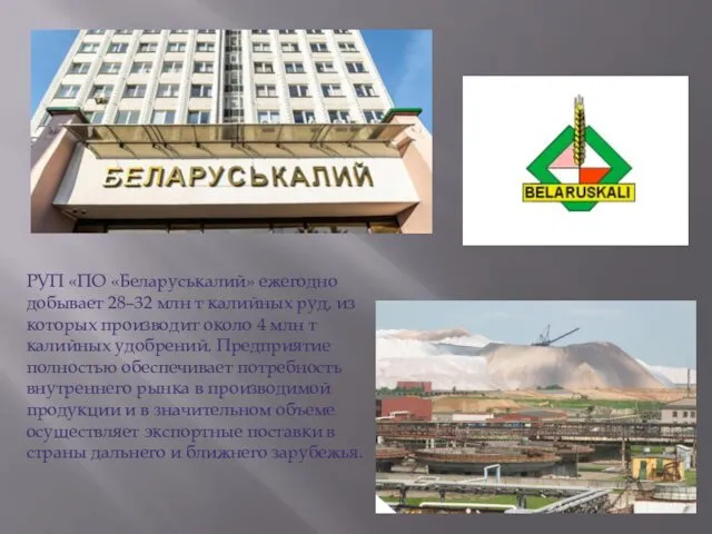 РУП «ПО «Беларуськалий» ежегодно добывает 28–32 млн т калийных руд, из