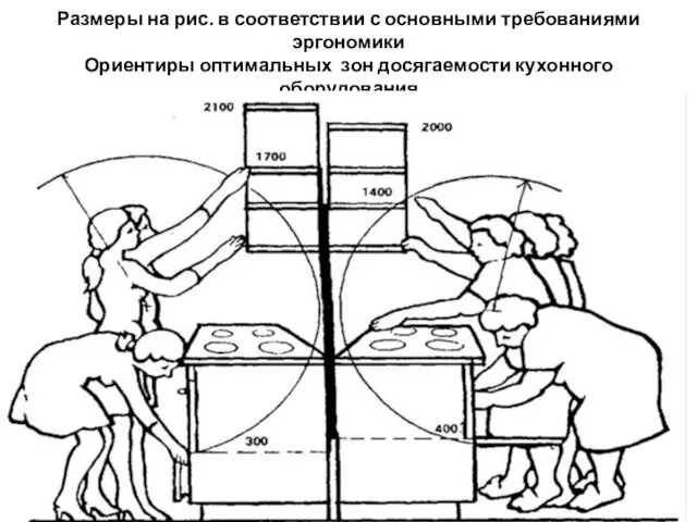 Размеры на рис. в соответствии с основными требованиями эргономики Ориентиры оптимальных зон досягаемости кухонного оборудования