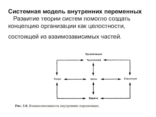 Системная модель внутренних переменных Развитие теории систем помогло создать концепцию организации