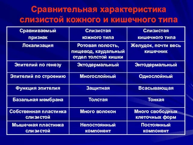 Сравнительная характеристика слизистой кожного и кишечного типа