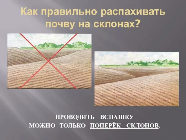 Как правильно распахивать почву на склонах? ПРОВОДИТЬ ВСПАШКУ МОЖНО ТОЛЬКО ПОПЕРЁК СКЛОНОВ.