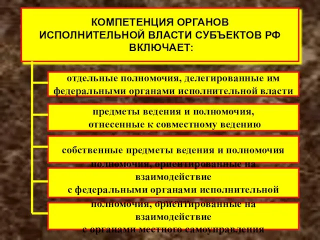 КОМПЕТЕНЦИЯ ОРГАНОВ ИСПОЛНИТЕЛЬНОЙ ВЛАСТИ СУБЪЕКТОВ РФ ВКЛЮЧАЕТ: отдельные полномочия, делегированные им