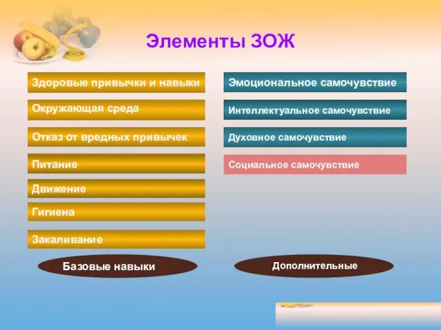 Элементы ЗОЖ Базовые навыки Дополнительные Закаливание Здоровые привычки и навыки Окружающая