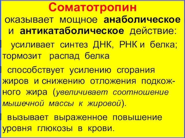 Соматотропин оказывает мощное анаболическое и антикатаболическое действие: усиливает синтез ДНК, РНК