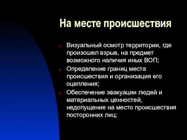 На месте происшествия Визуальный осмотр территории, где произошел взрыв, на предмет