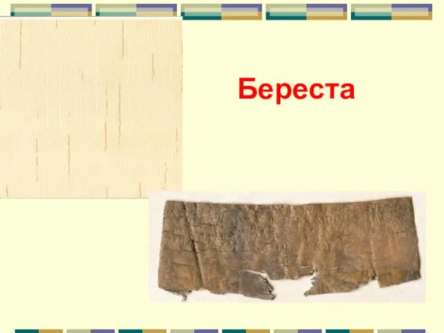 Береста