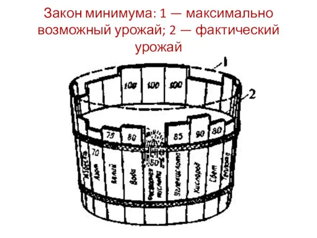 Закон минимума: 1 — максимально возможный урожай; 2 — фактический урожай