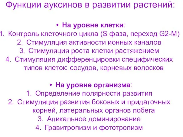 Функции ауксинов в развитии растений: На уровне клетки: Контроль клеточного цикла