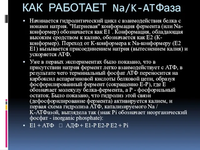 КАК РАБОТАЕТ Na/K-ATФаза Начинается гидролитический цикл с взаимодействия белка с ионами