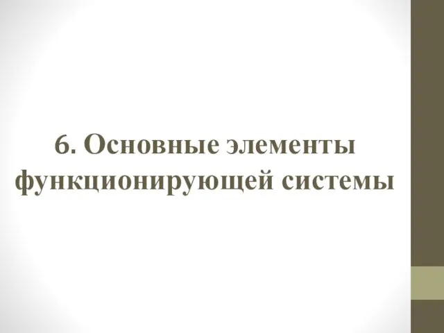 6. Основные элементы функционирующей системы