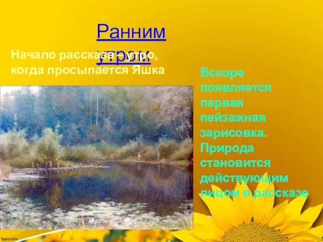 Ранним утром Начало рассказа – утро, когда просыпается Яшка Вскоре появляется