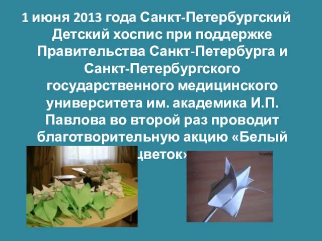 1 июня 2013 года Санкт-Петербургский Детский хоспис при поддержке Правительства Санкт-Петербурга