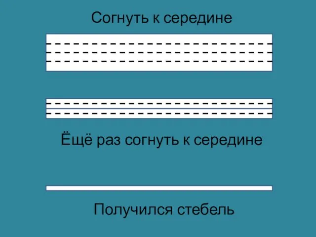 Согнуть к середине Получился стебель Ёщё раз согнуть к середине