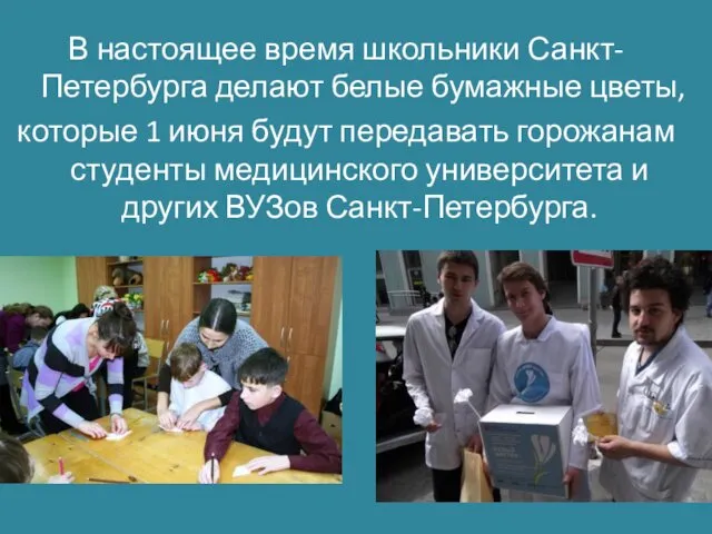 В настоящее время школьники Санкт-Петербурга делают белые бумажные цветы, которые 1