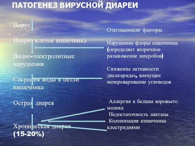 ПАТОГЕНЕЗ ВИРУСНОЙ ДИАРЕИ Вирус Некроз клеток кишечника Водно-электролитные нарушения Секреция воды