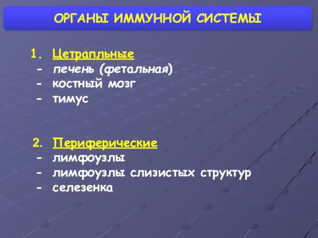 ОРГАНЫ ИММУННОЙ СИСТЕМЫ Цетрапльные печень (фетальная) костный мозг тимус Периферические лимфоузлы лимфоузлы слизистых структур селезенка