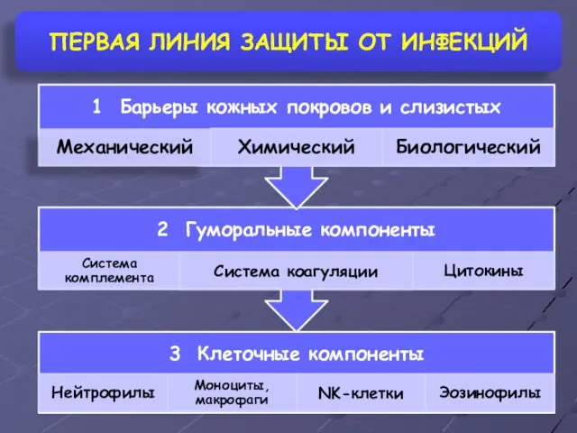 ПЕРВАЯ ЛИНИЯ ЗАЩИТЫ ОТ ИНФЕКЦИЙ