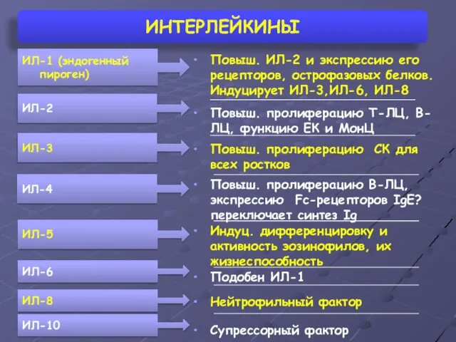 ИНТЕРЛЕЙКИНЫ Повыш. ИЛ-2 и экспрессию его рецепторов, острофазовых белков. Индуцирует ИЛ-3,ИЛ-6,