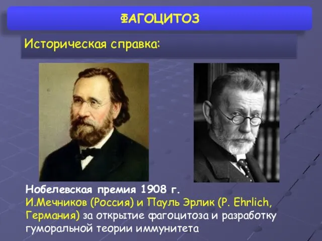 ФАГОЦИТОЗ Историческая справка: Нобелевская премия 1908 г. И.Мечников (Россия) и Пауль