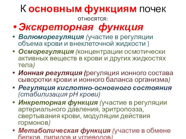 К основным функциям почек относятся: Экскреторная функция Волюморегуляция (участие в регуляции