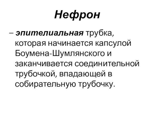 Нефрон – эпителиальная трубка, которая начинается капсулой Боумена-Шумлянского и заканчивается соединительной трубочкой, впадающей в собирательную трубочку.