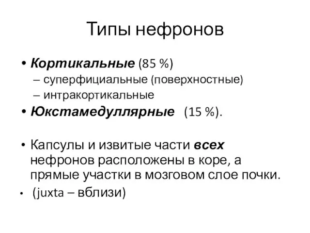 Типы нефронов Кортикальные (85 %) суперфициальные (поверхностные) интракортикальные Юкстамедуллярные (15 %).