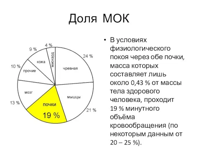 Доля МОК В условиях физиологического покоя через обе почки, масса которых