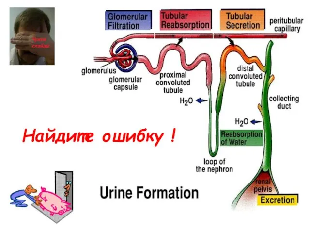 Найдите ошибку !