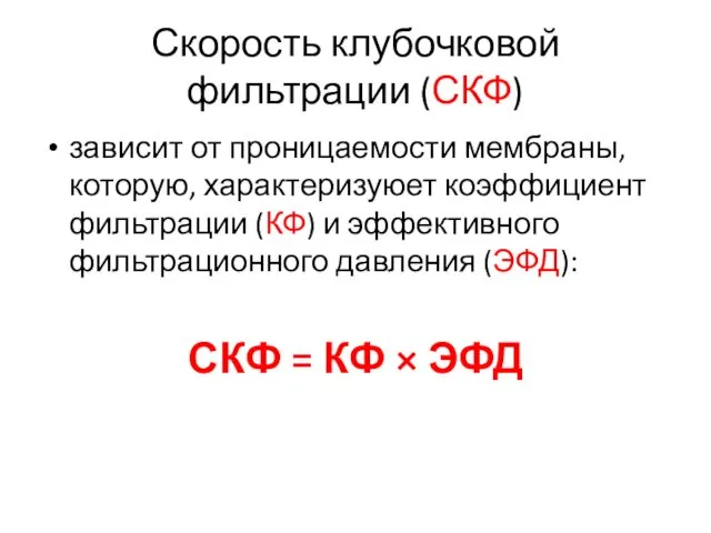 Скорость клубочковой фильтрации (СКФ) зависит от проницаемости мембраны, которую, характеризуюет коэффициент