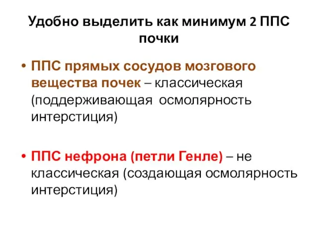 Удобно выделить как минимум 2 ППС почки ППС прямых сосудов мозгового