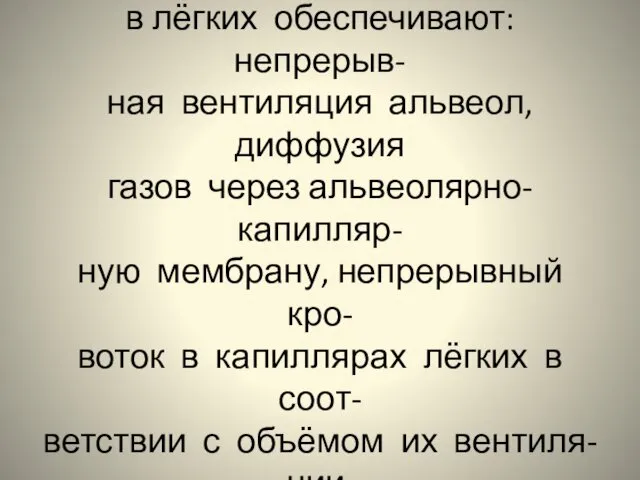 Изменение газового состава крови в лёгких обеспечивают: непрерыв- ная вентиляция альвеол,