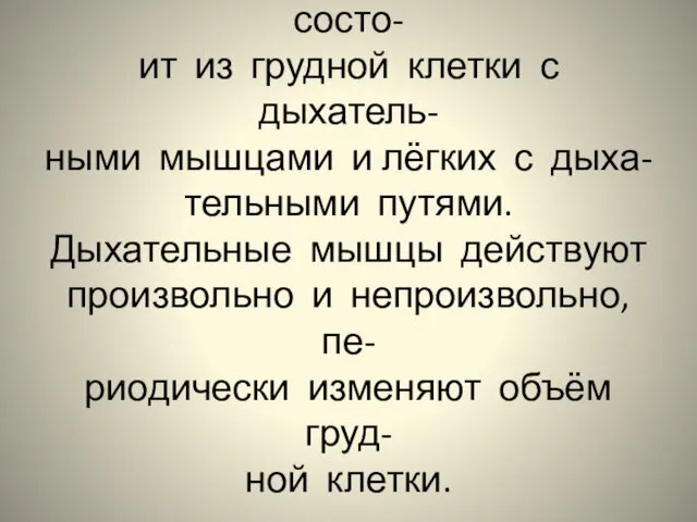 Аппарат вентиляции лёгких состо- ит из грудной клетки с дыхатель- ными