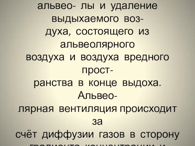 Вентиляция обеспечивает поступ- ление воздуха в лёгкие и альвео- лы и