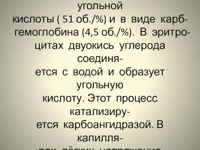 Двуокись углерода переносится кровью в растворенном виде (2,5 об./%), в виде