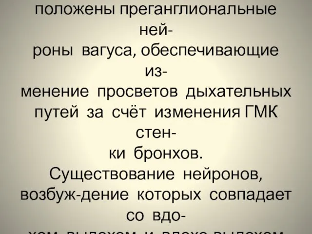 Среди дыхательных нейронов рас- положены преганглиональные ней- роны вагуса, обеспечивающие из-