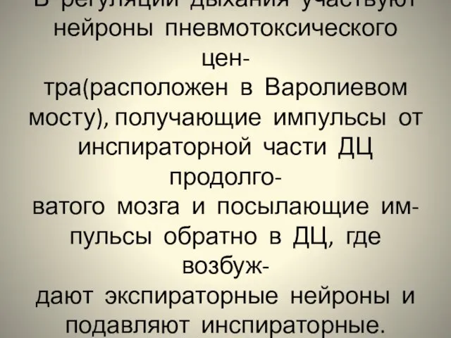 В регуляции дыхания участвуют нейроны пневмотоксического цен- тра(расположен в Варолиевом мосту),