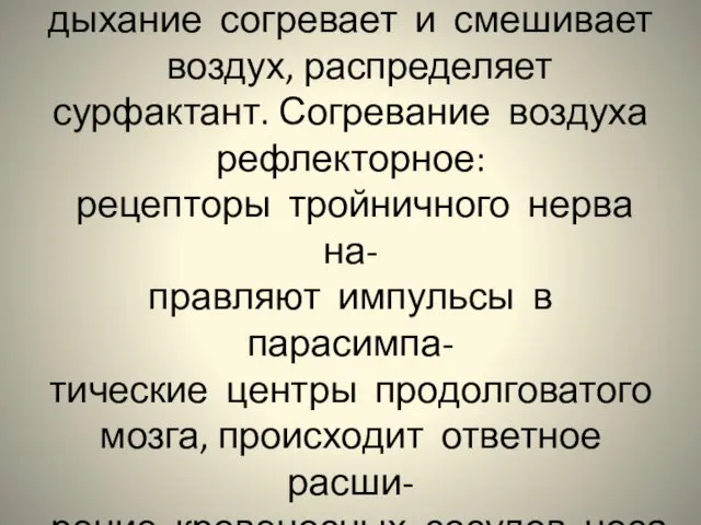 Защитная функция ДС: 1. Носовое дыхание согревает и смешивает воздух, распределяет