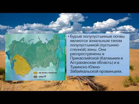 Бурые полупустынные почвы являются зональным типом полупустынной (пустынно-степной) зоны. Они распространены