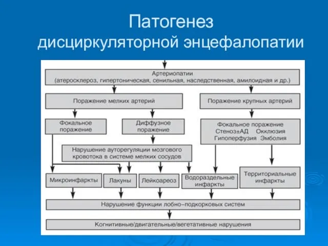 Патогенез дисциркуляторной энцефалопатии